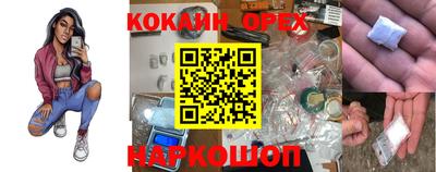 прущие грибы Абакан