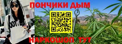 прущие грибы Абакан