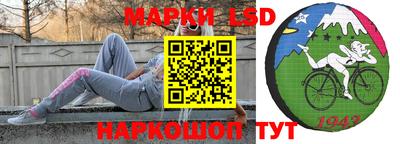 прущие грибы Абакан