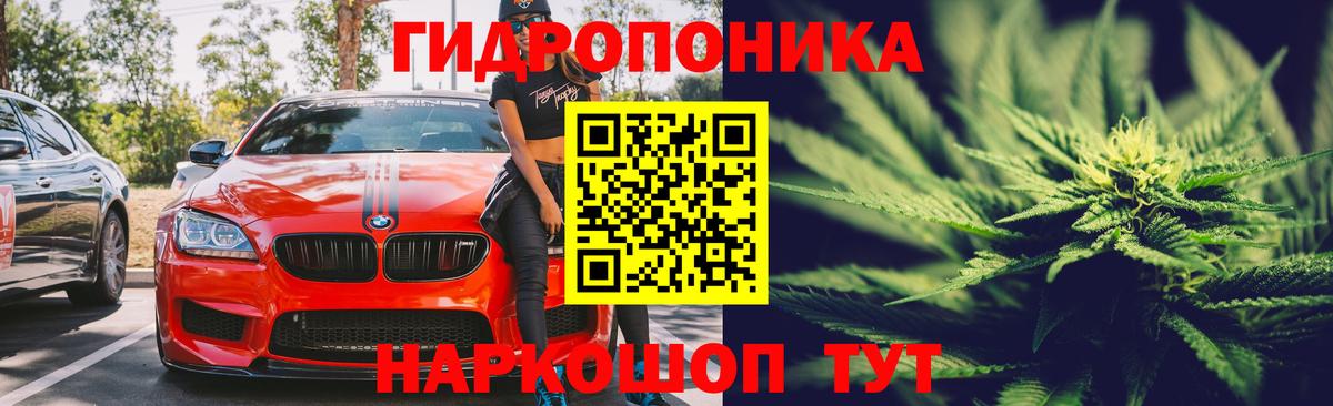 Бошки Шишки Bruce Banner Россия